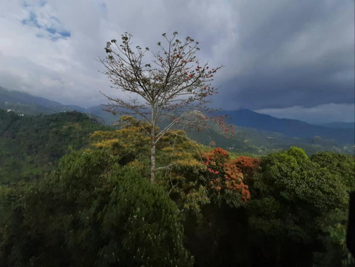 Palmtree Leaf, Munnar Hotel Exterior photo